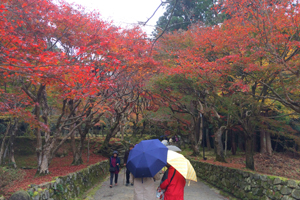 2015年11月 びわこ湖東三山